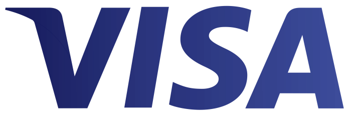 Visa card logo icon